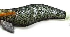 Grauvell Wakame 75mm 10 ( Phospho )