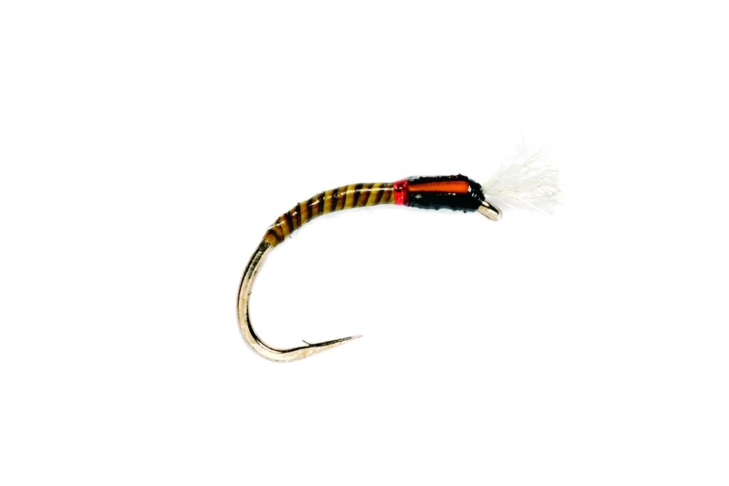 Fulling Mill BUZZER (QUILL) OLIVE SH