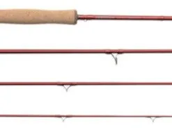 Scierra EDP V2 9″ ( # 7 )